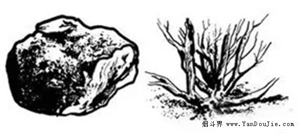 1557379845741361.jpg 格式工厂640 (16).jpg