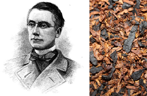 Parson's Blend